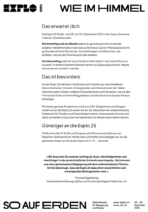 Screenshot vom Kurzbeschrieb